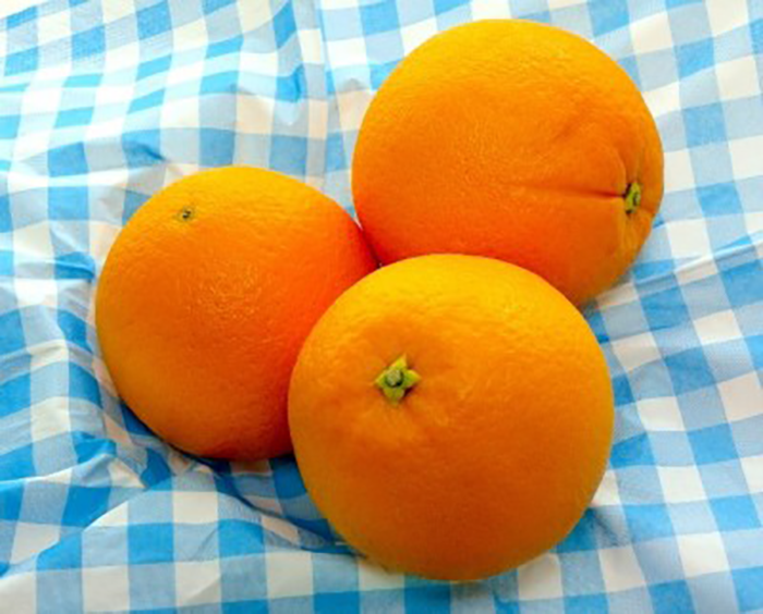 quick and easy healthy recipes oranges